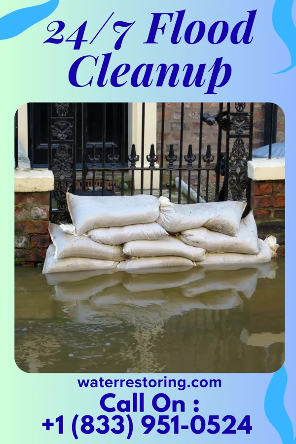 24/7 Flood Cleanup in Jonestown, MS