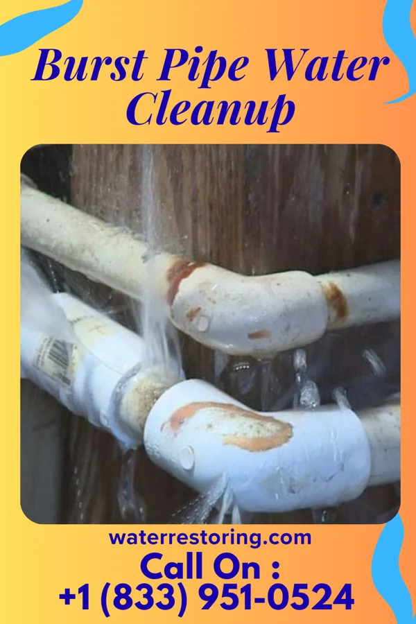 Burst Pipe Water Cleanup in Jonestown, MS