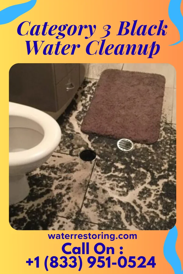 Category 3 Black Water Cleanup in Jonestown, MS