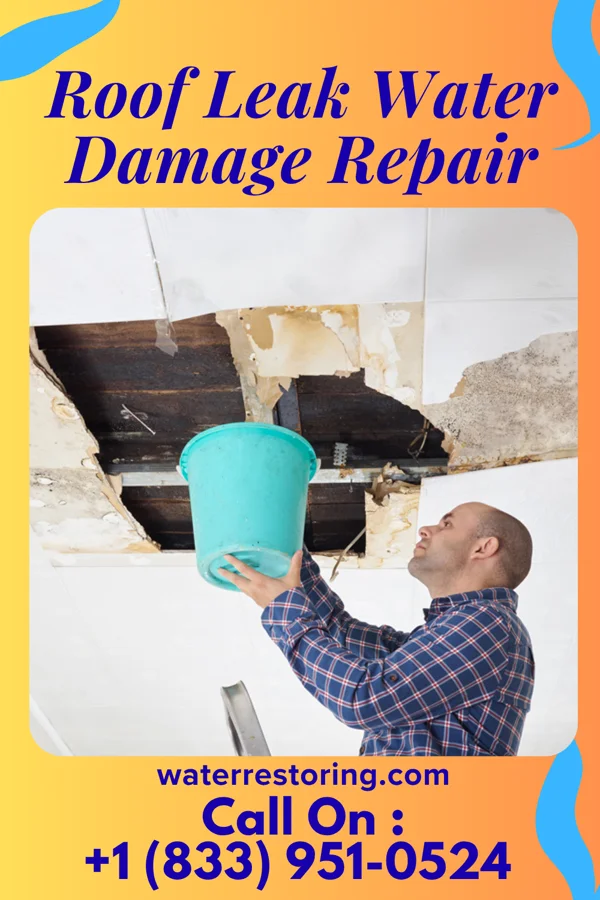 Roof Leak Water Damage Repair in Jonestown, MS