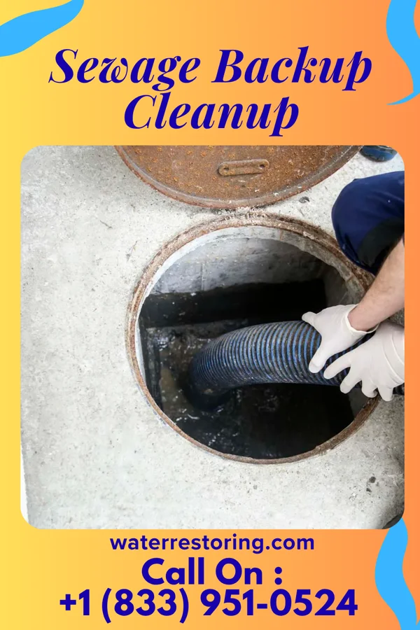 Sewage Backup Cleanup in Jonestown, MS