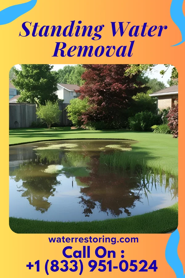 Standing Water Removal in Jonestown, MS